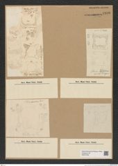 Solium sp. (de-Toni-Nr.: Genus 120) Zeichnungen Sammlung Grunow Nr. 6896 (NHMW-BOT-W0375762)